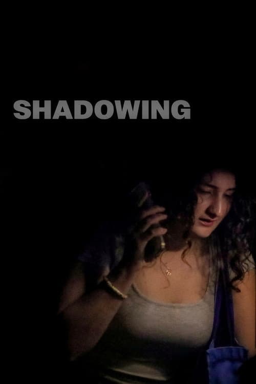 Постер: Shadowing