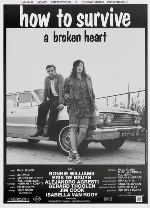 Постер: How to Survive a Broken Heart