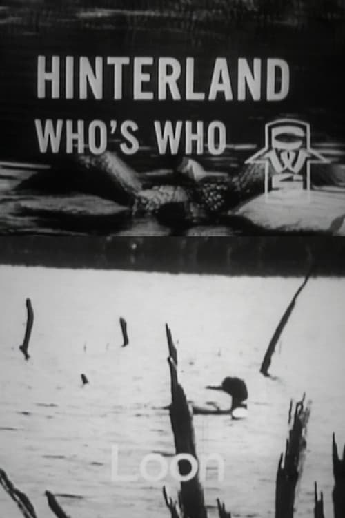 Постер: Hinterland Who's Who: Loon