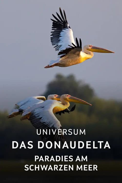 Постер: Das Donaudelta - Paradies am Schwarzen Meer