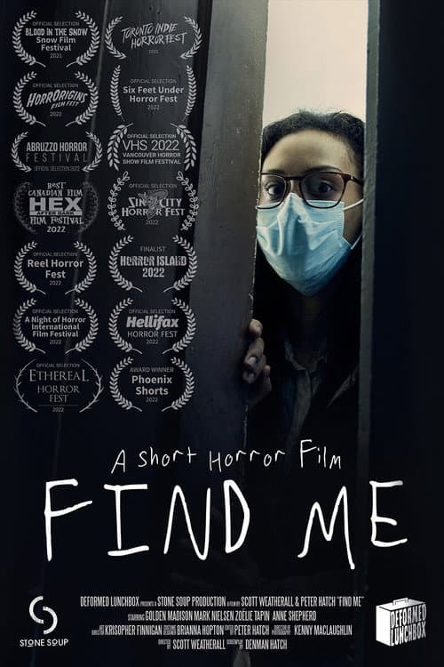 Постер: Find Me