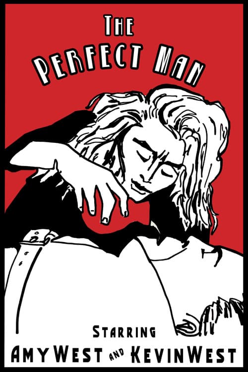 Постер: The Perfect Man