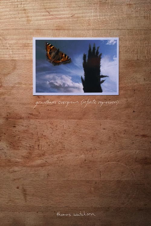 Постер: Grantham Overgrown (Infinite Regression)