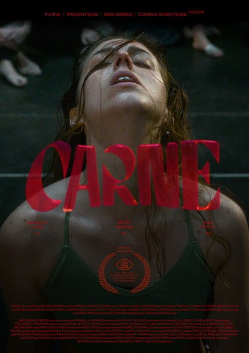 Постер: CARNE
