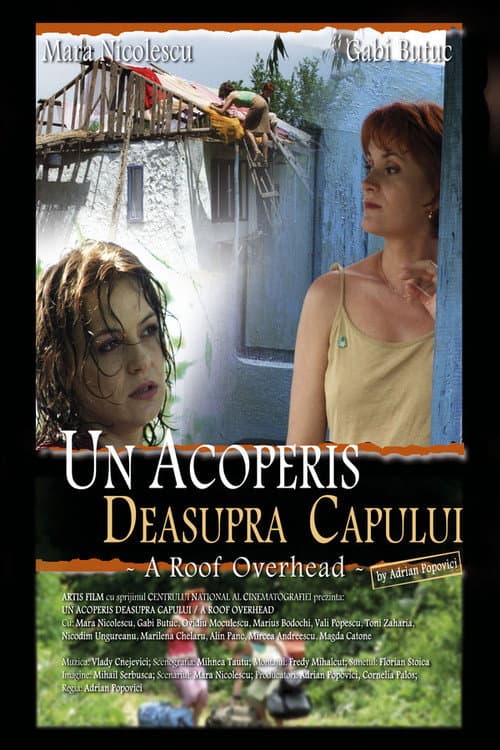 Постер: Un acoperiș deasupra capului