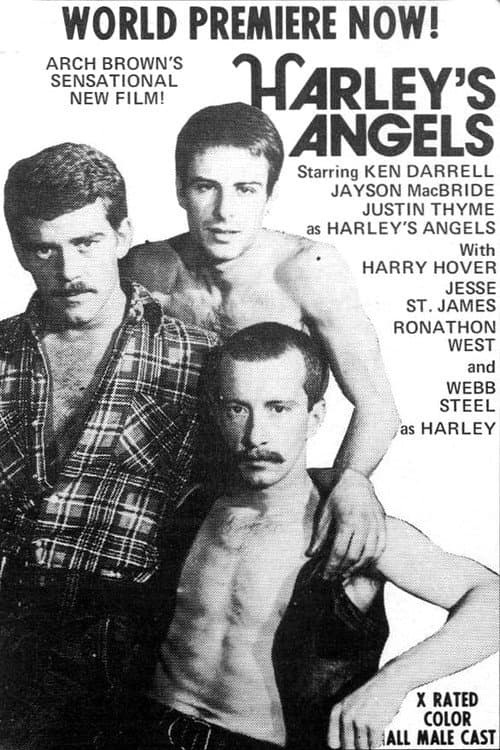 Постер: Harley's Angels