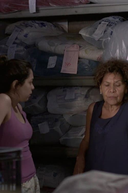 Постер: Lavandería Las Rosas