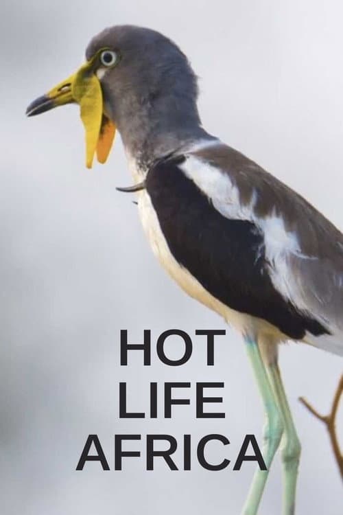Постер: Hot Life: Africa