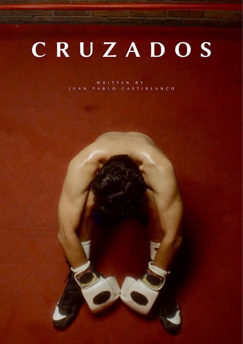 Постер: Cruzados