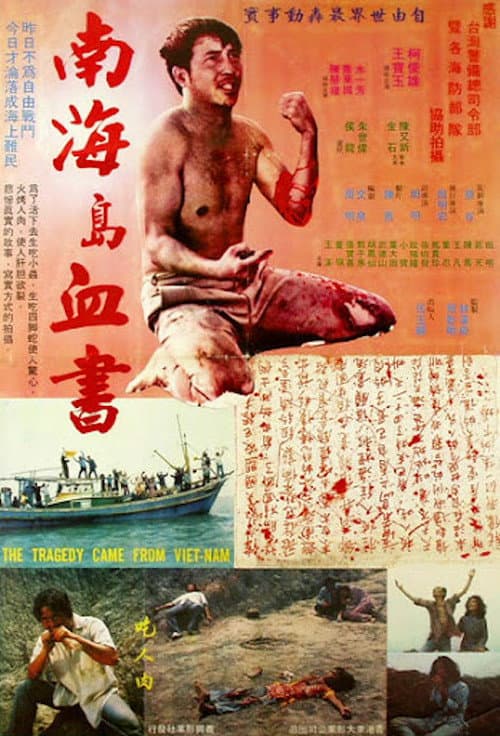Постер: 南海島血書