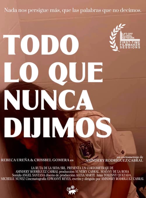 Постер: Todo Lo Que Nunca Dijimos