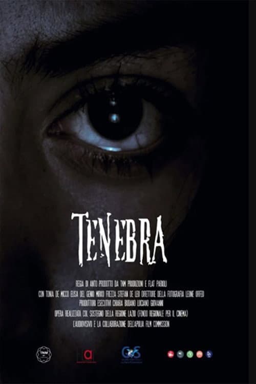 Постер: Tenebra