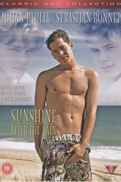 Постер: Sunshine After the Rain