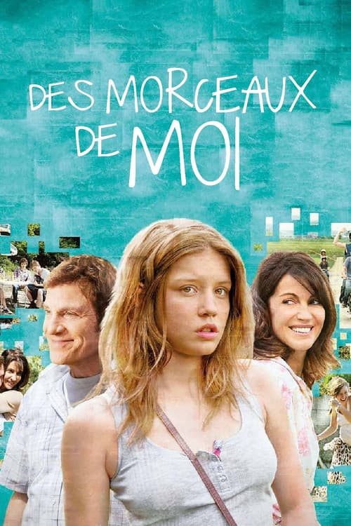 Постер: Des morceaux de moi