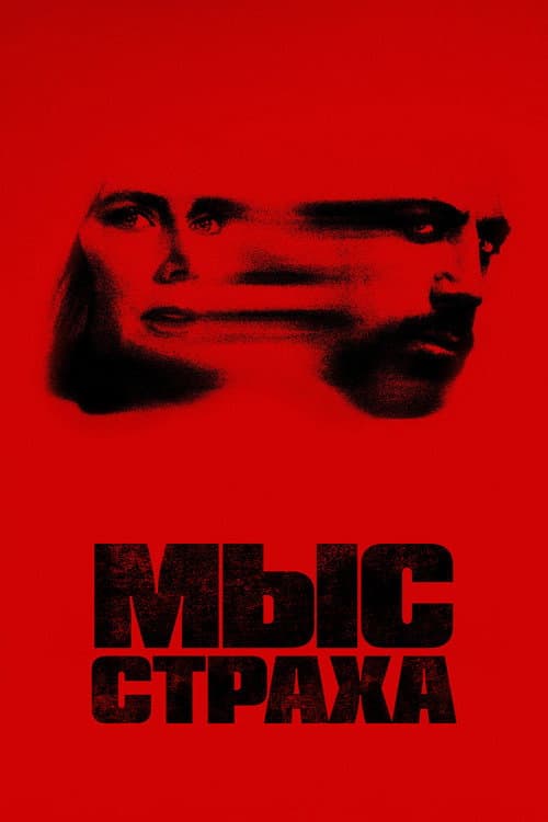 Кадр 14