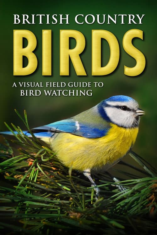 Постер: British Country Birds: A Visual Field Guide to Bird Watching