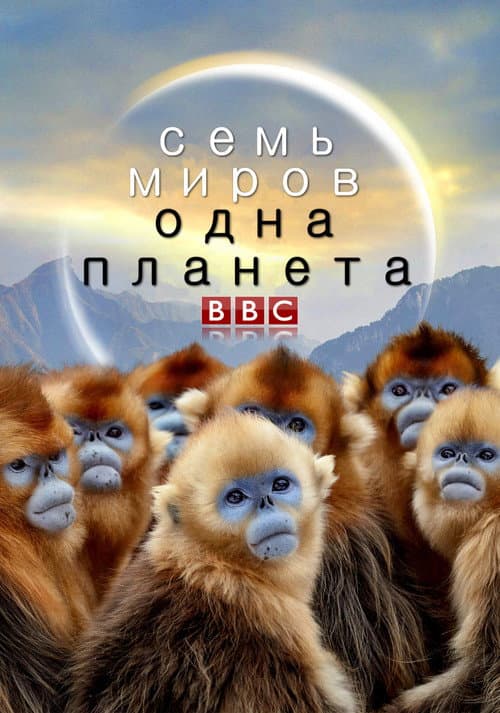 Кадр 2