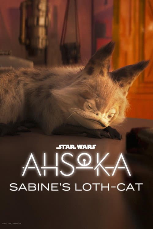Постер: Ahsoka: Sabine's Loth-Cat