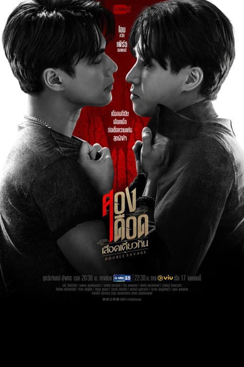 Постер: สองเดือดเลือดเดียวกัน
