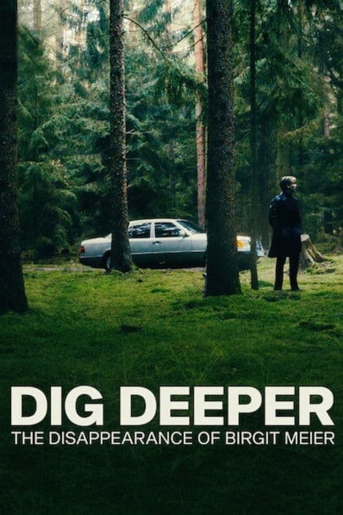 Постер: Dig Deeper: Das Verschwinden von Birgit Meier
