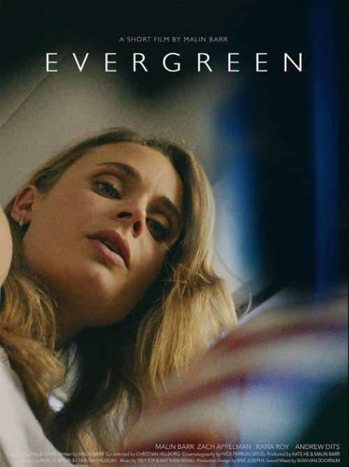 Постер: Evergreen