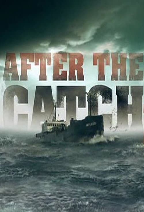 Постер: After the Catch