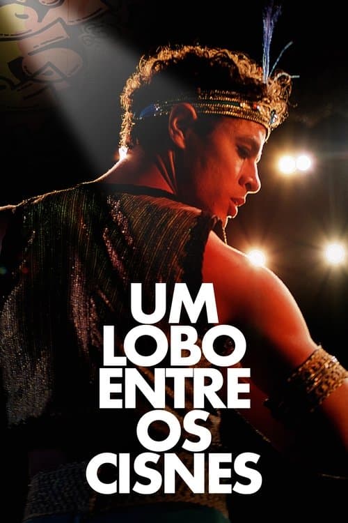 Постер: Um Lobo entre os Cisnes