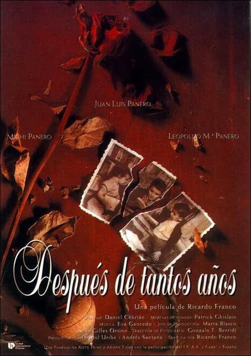 Постер: Después de tantos años