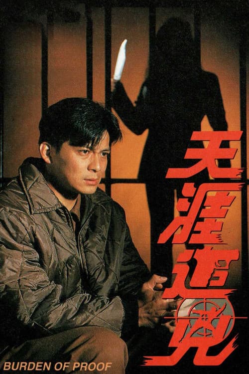 Постер: 天涯追凶