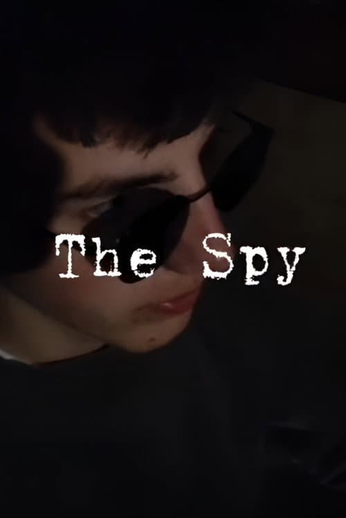 Постер: The Spy