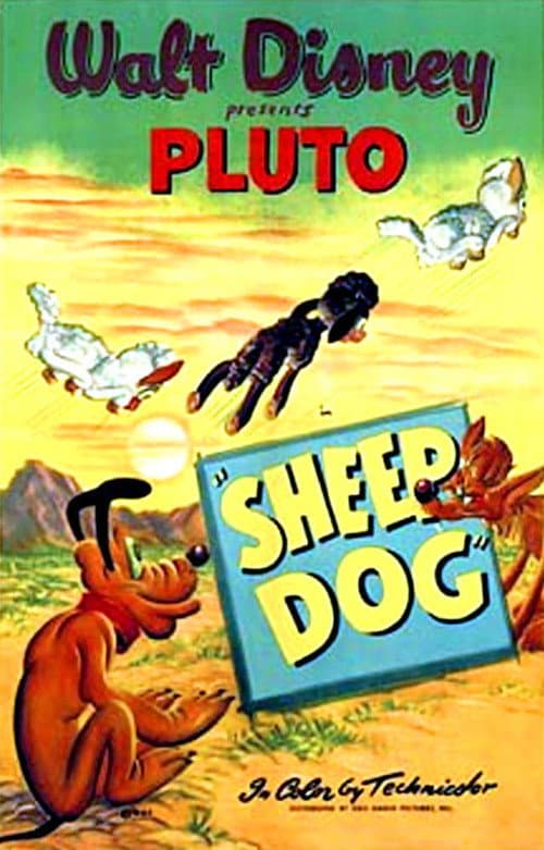Постер: Sheep Dog