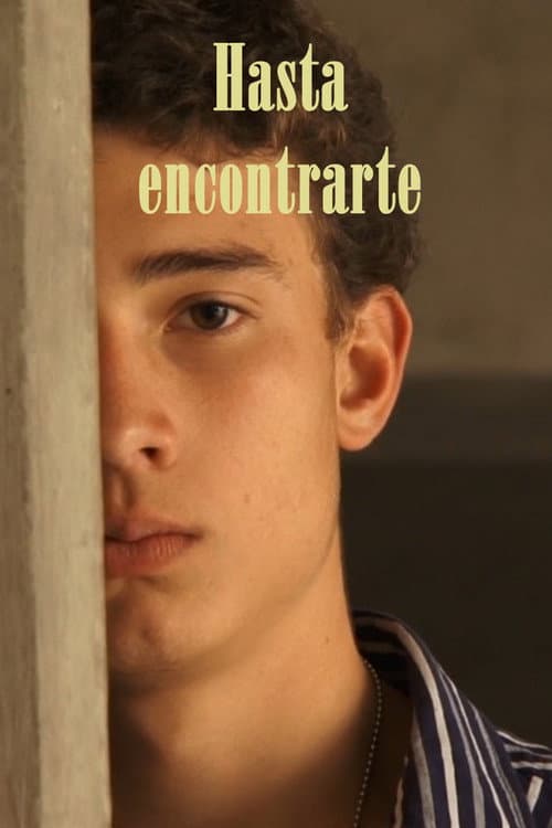 Постер: Hasta encontrarte