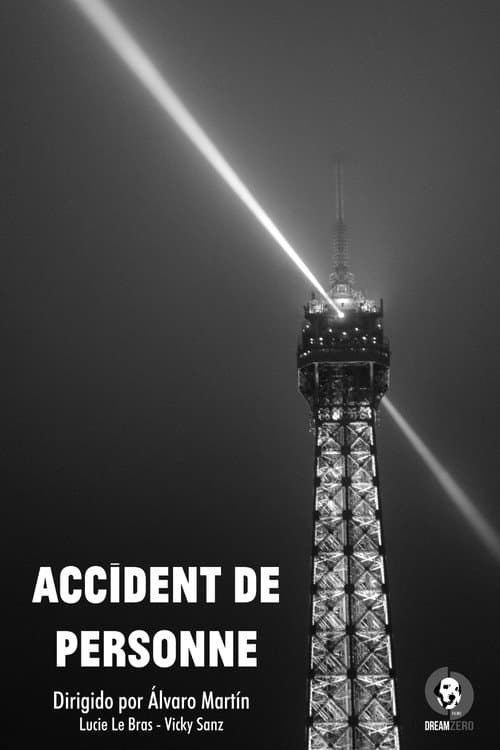 Постер: Accident de personne