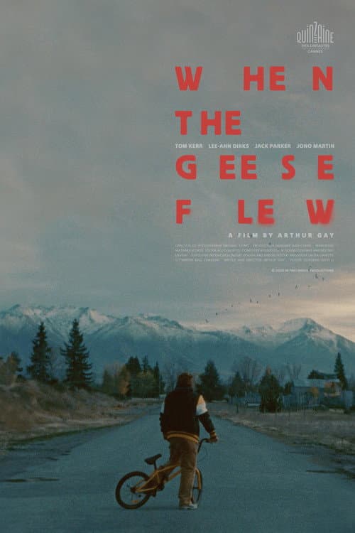 Постер: When the Geese Flew