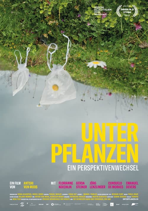 Постер: Unter Pflanzen – Ein Perspektivenwechsel