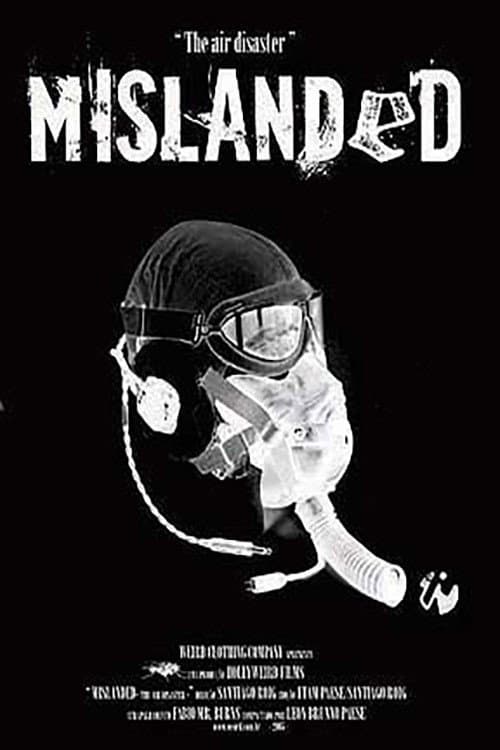 Постер: Mislanded: The Air Disaster
