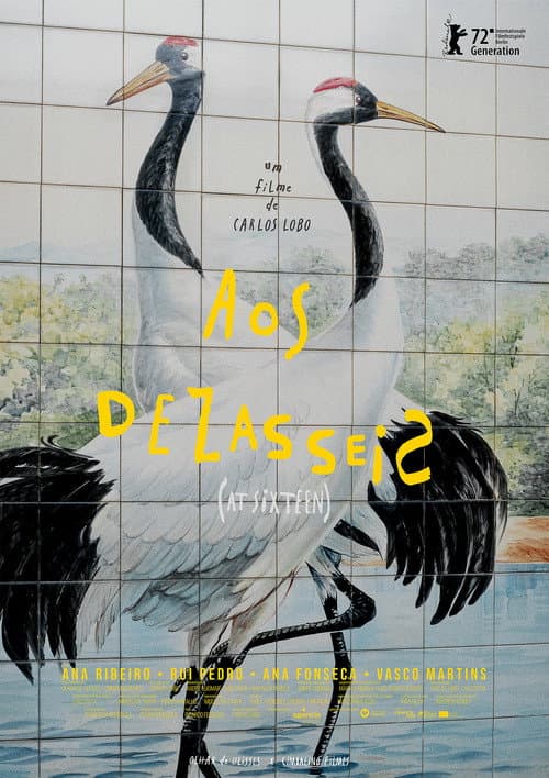 Постер: Aos Dezasseis
