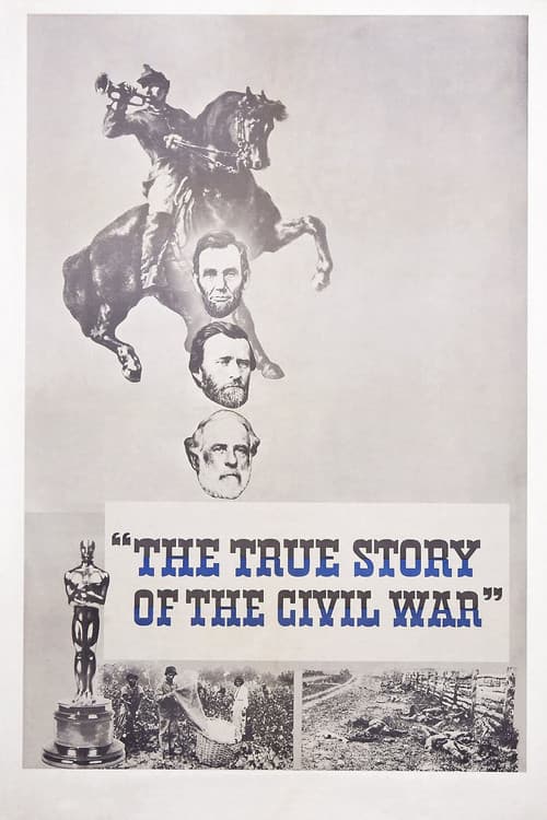 Постер: The True Story of the Civil War