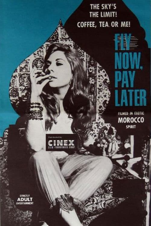 Постер: Fly Now Pay Later