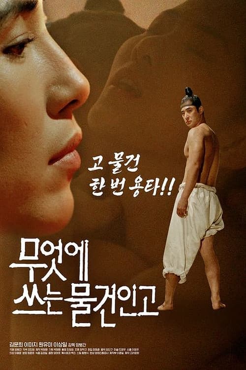 Постер: 무엇에 쓰는 물건인고