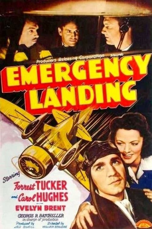 Постер: Emergency Landing
