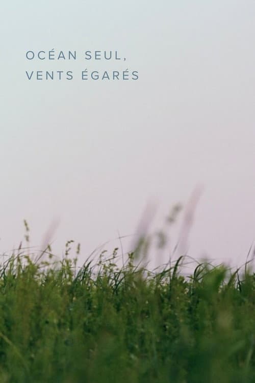 Постер: Océan seul, vents égarés