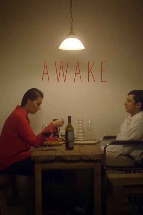 Постер: Awake