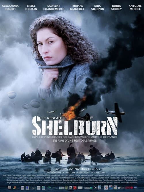 Постер: Le réseau Shelburn