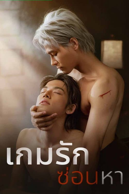 Постер: เกมรักซ่อนหา