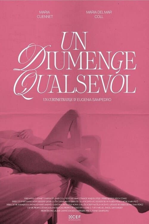 Постер: Un diumenge qualsevol