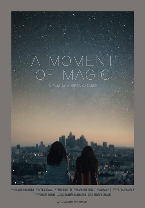 Постер: A Moment of Magic
