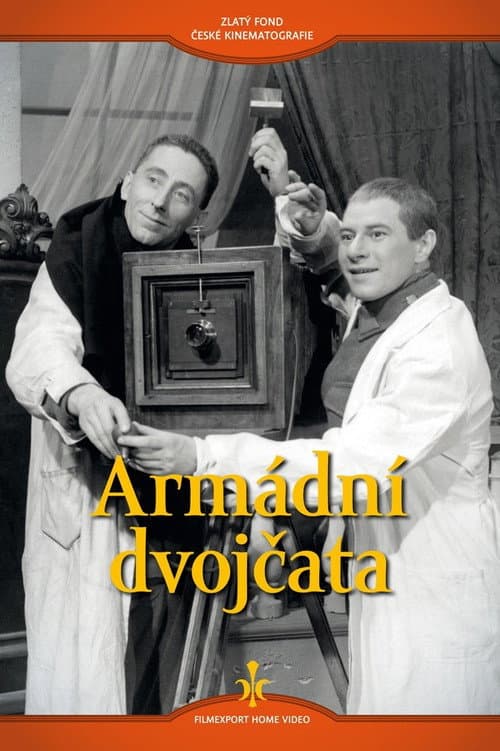 Постер: Armádní dvojčata