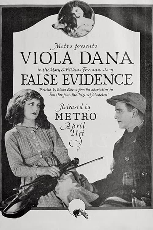 Постер: False Evidence
