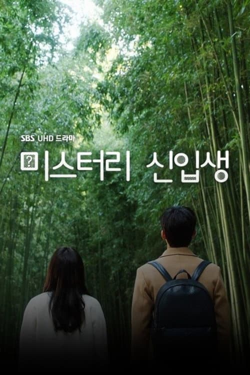 Постер: 미스터리 신입생